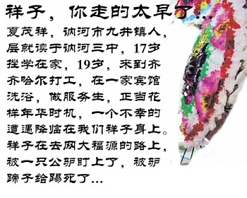 夏茂祥照片