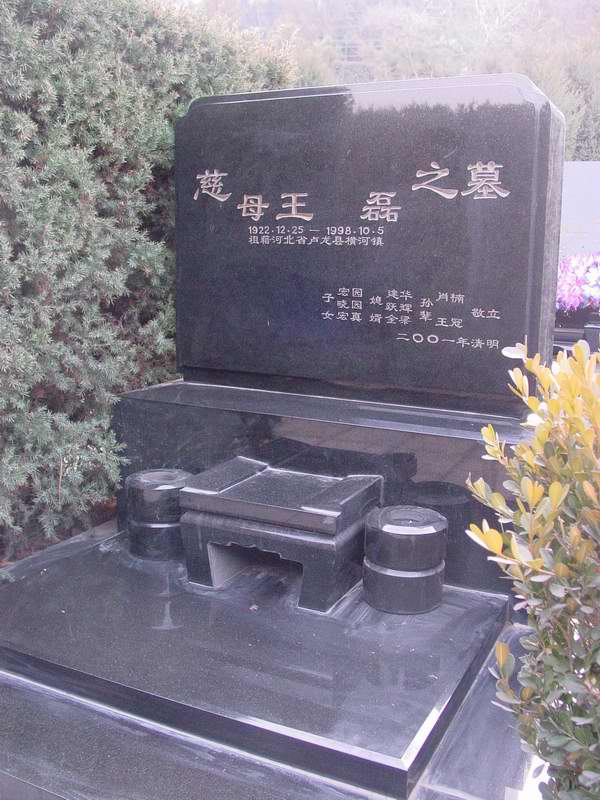王磊照片