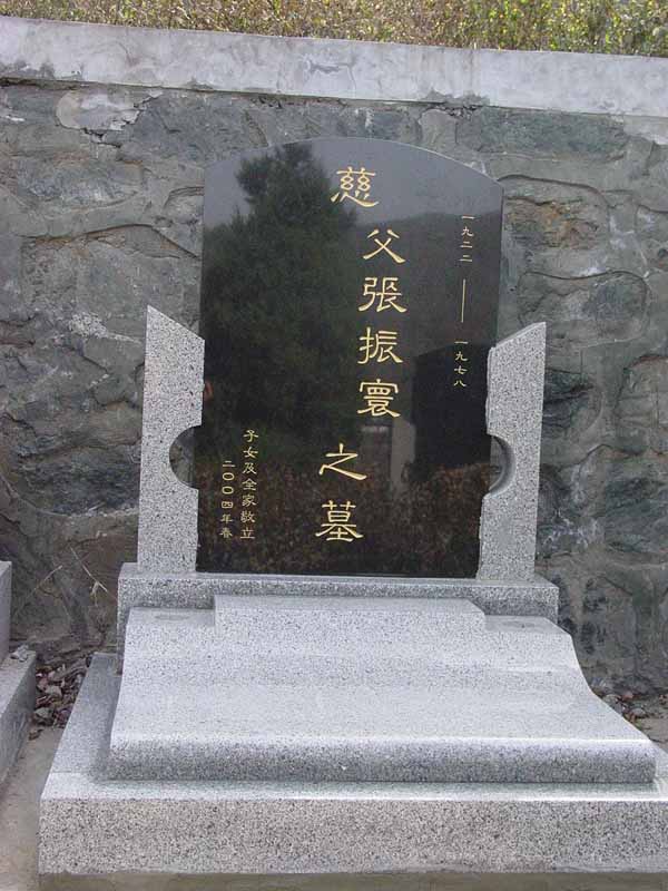 张振环照片