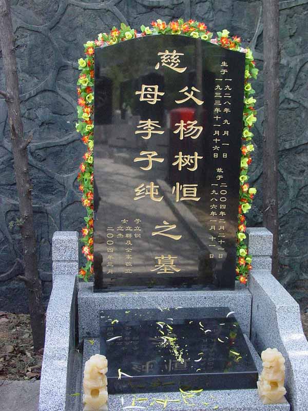 杨树恒.李子纯照片