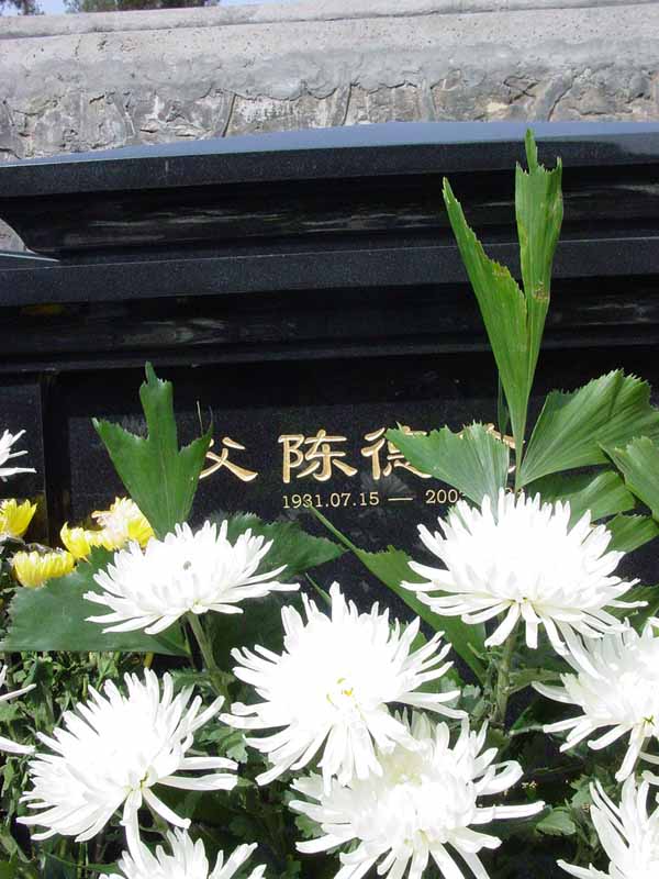 陈德伦照片