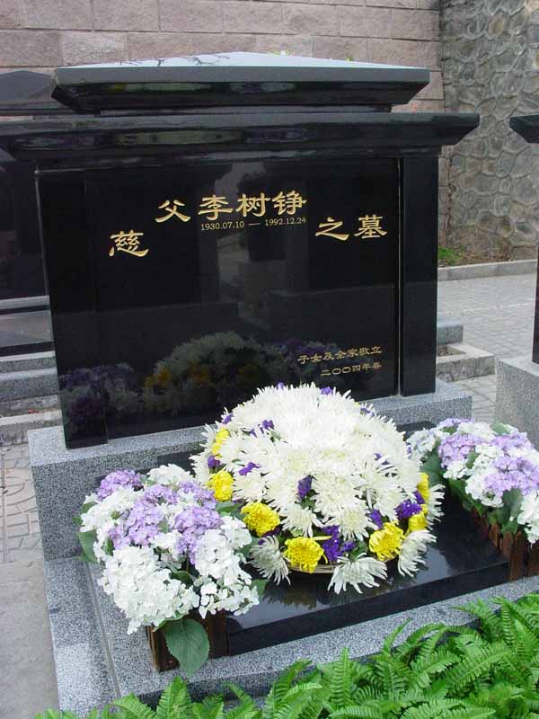 李树铮照片