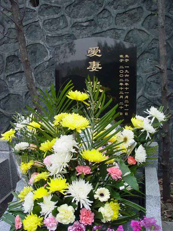 张淑萍照片