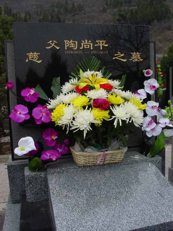 陶尚平照片