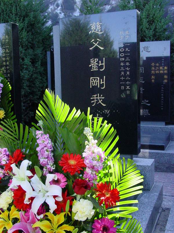 刘刚我照片