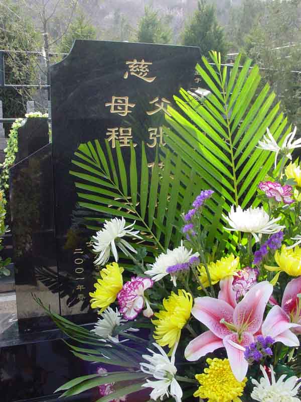 张俊峰.程云照片