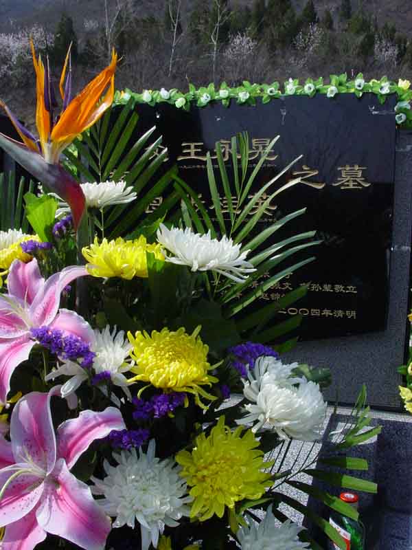 王永晃.张桂英照片
