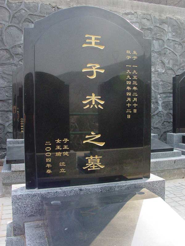 王子杰照片