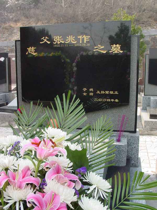张兆作照片