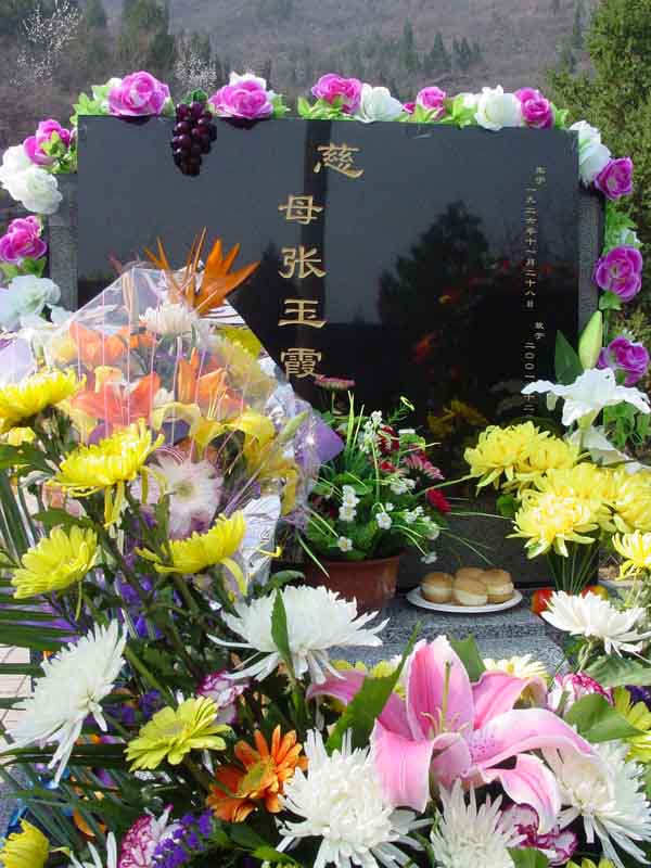 张玉霞照片