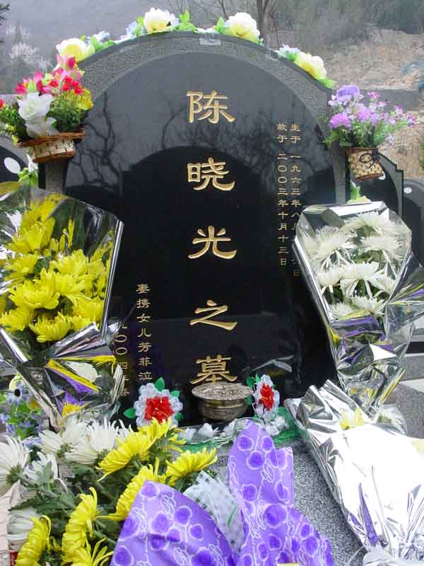 陈晓光照片