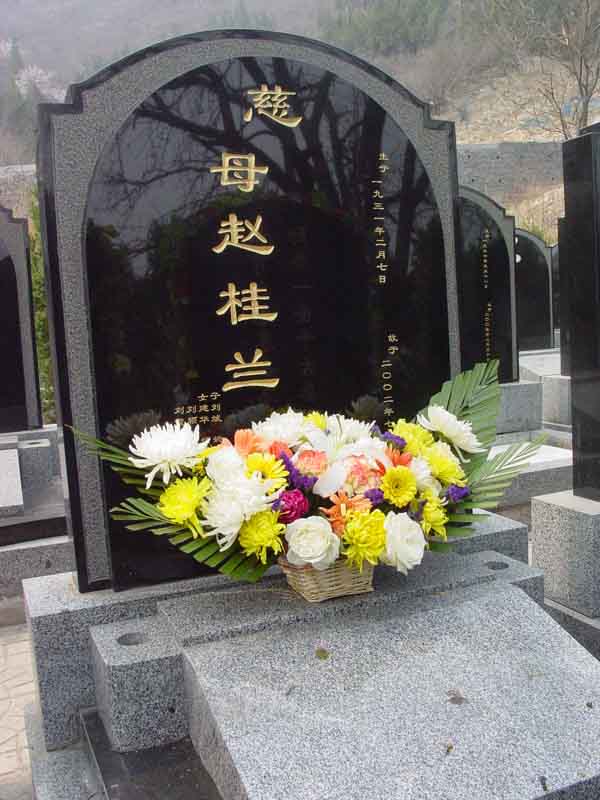 赵桂兰照片