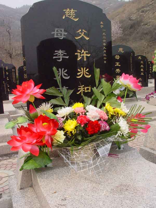 许兆和照片