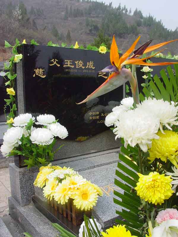 王俊成照片