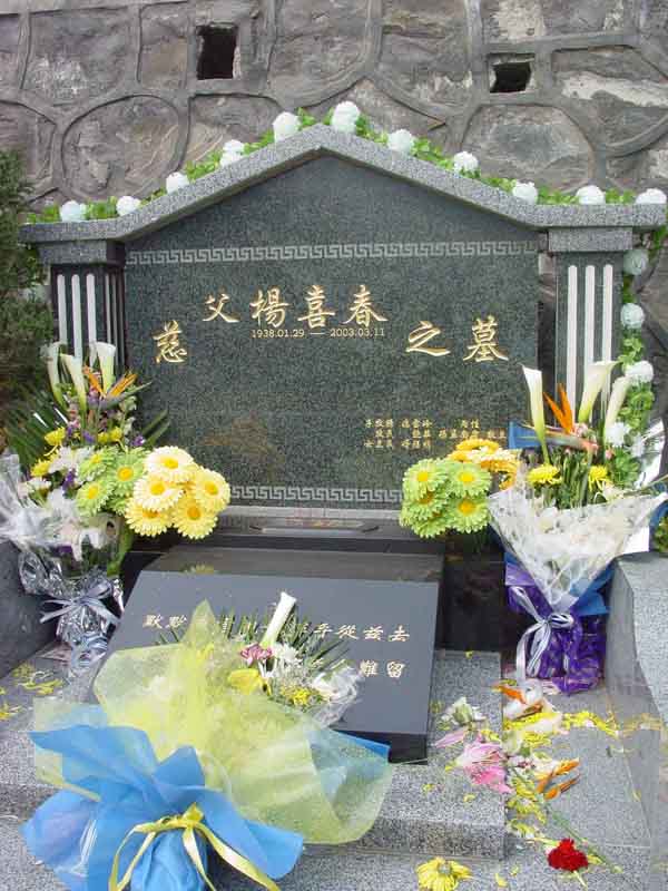 杨喜春照片