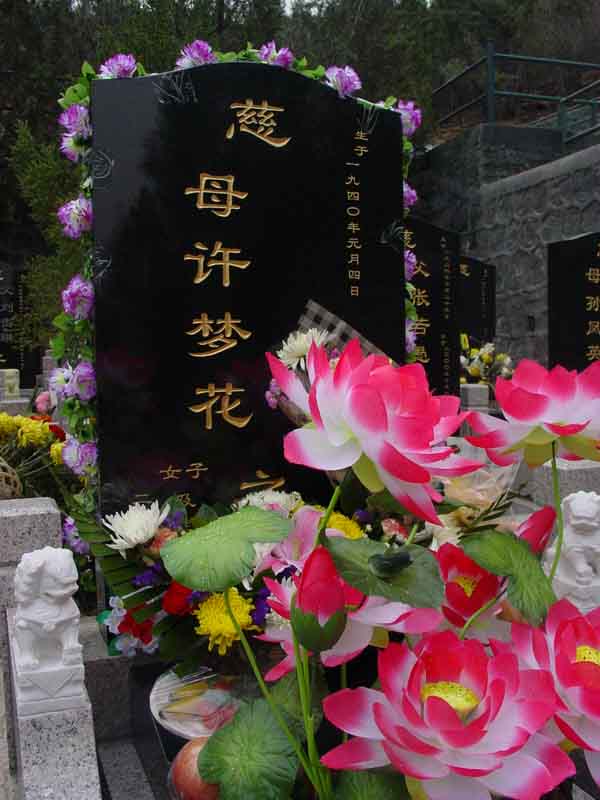 许梦花照片
