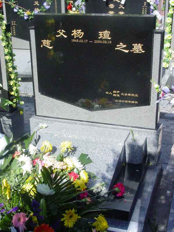 杨宣照片