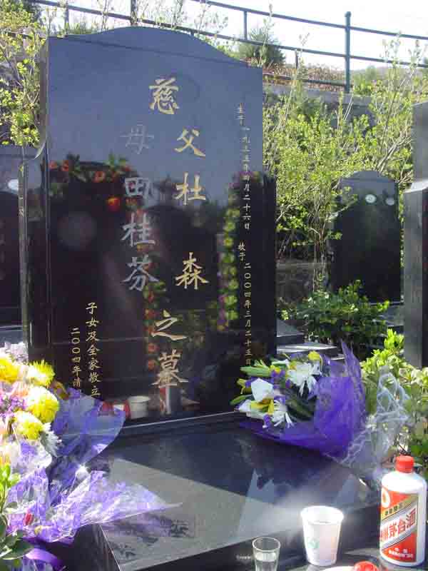 杜森照片