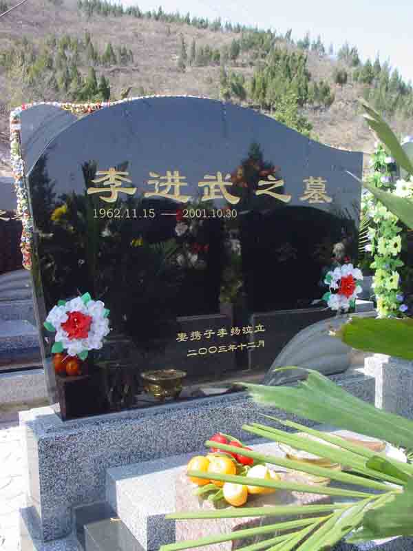 李进武照片