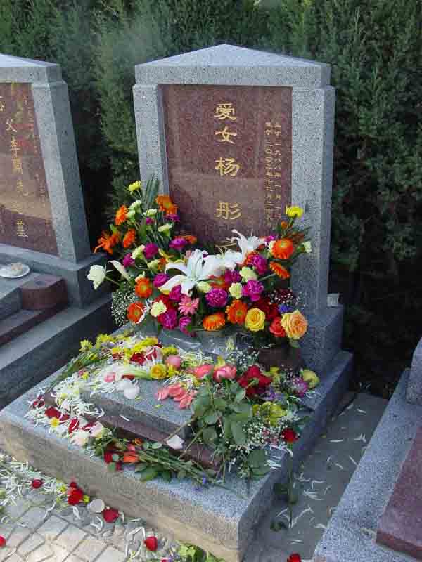 杨彤照片