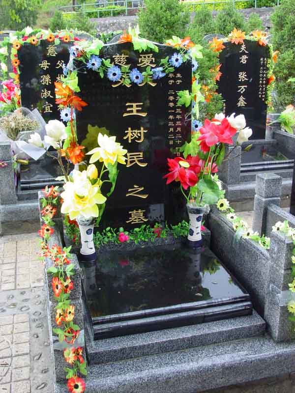 王树民照片