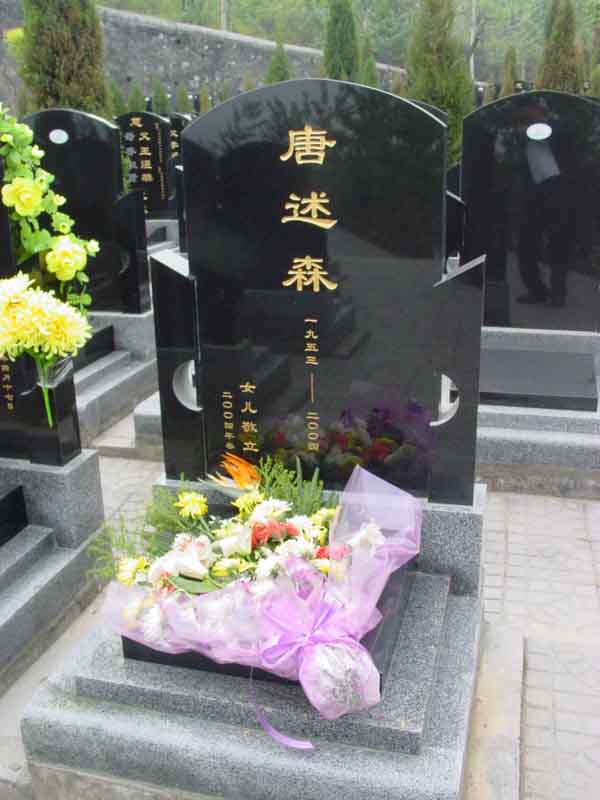 唐述森照片