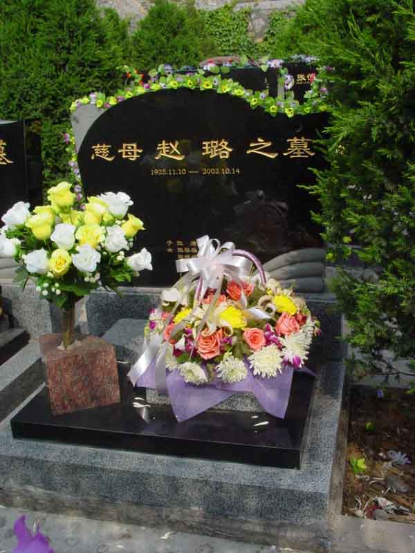 赵璐照片