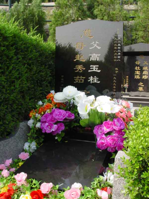 赵秀茹照片