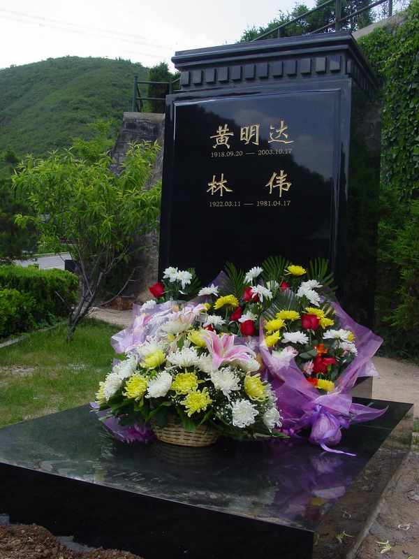 黄明达.林伟照片