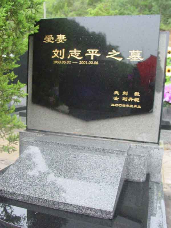 刘志军照片