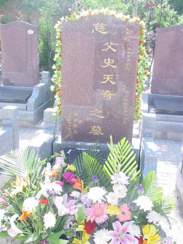史天奇照片