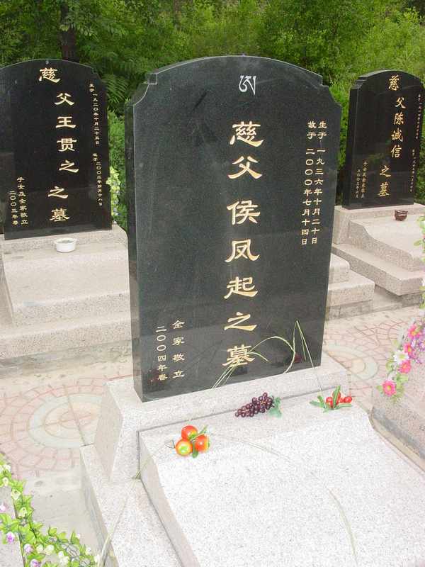 侯凤起照片