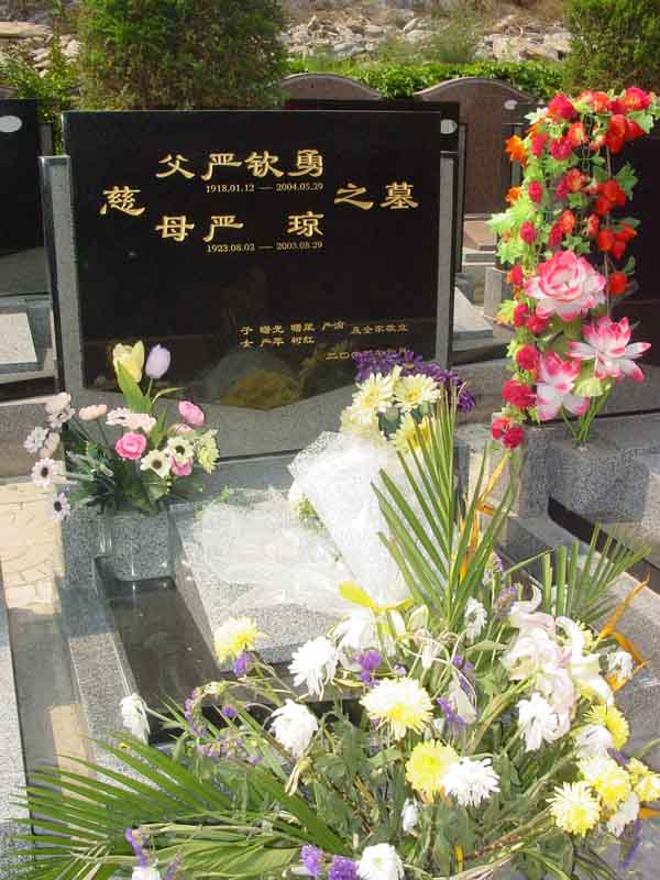 严钦勇.严琼照片