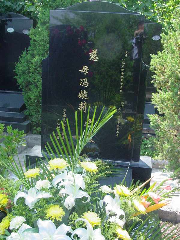 冯婉莉照片