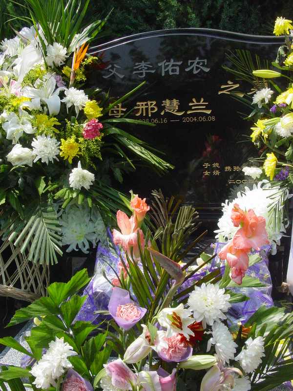 邢慧兰照片