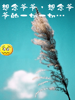 怀念我最最亲爱的爷爷照片