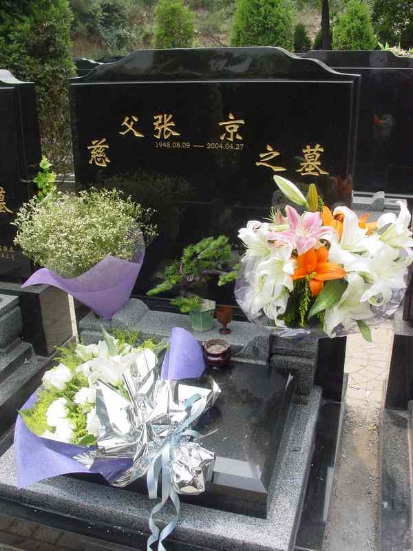张京照片