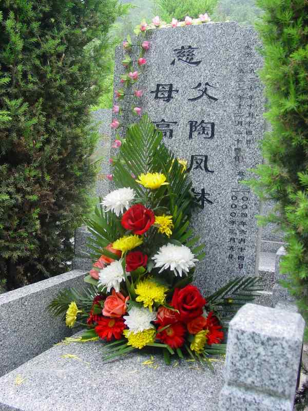 陶凤林照片