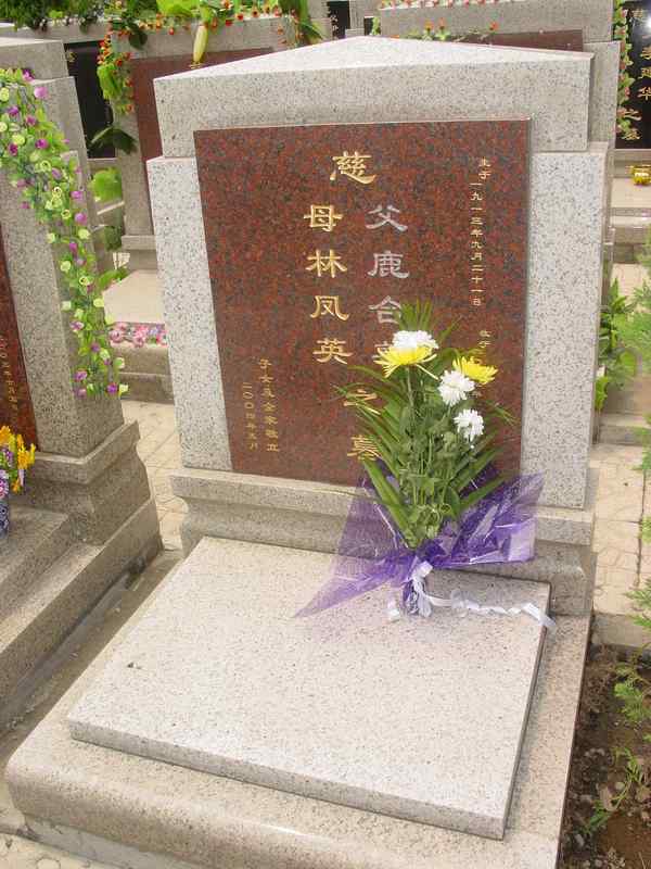 林凤英照片