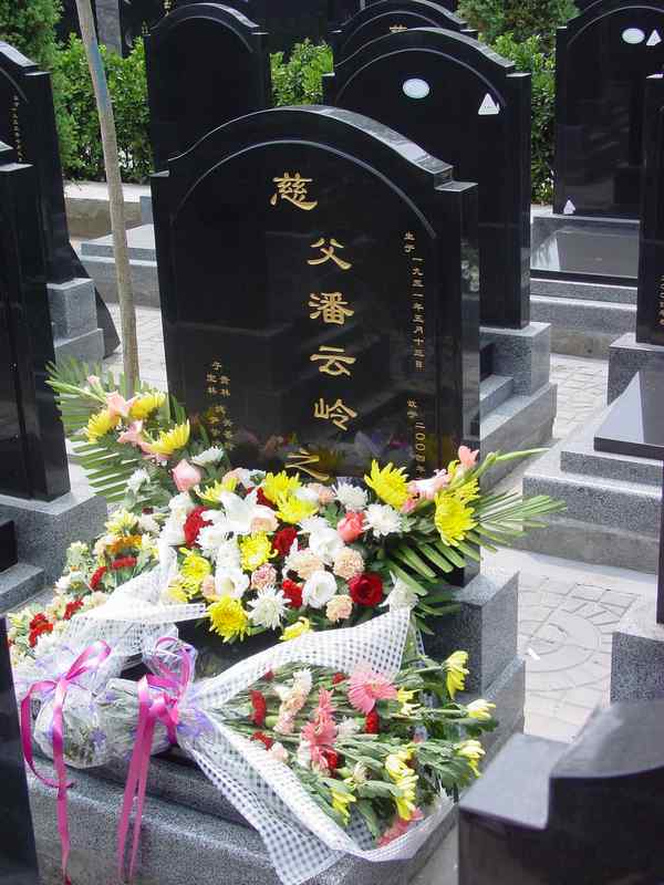 潘云岭照片
