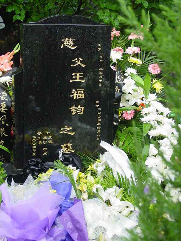 王福钧照片