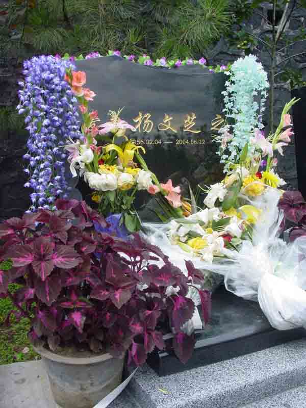 杨文芝照片
