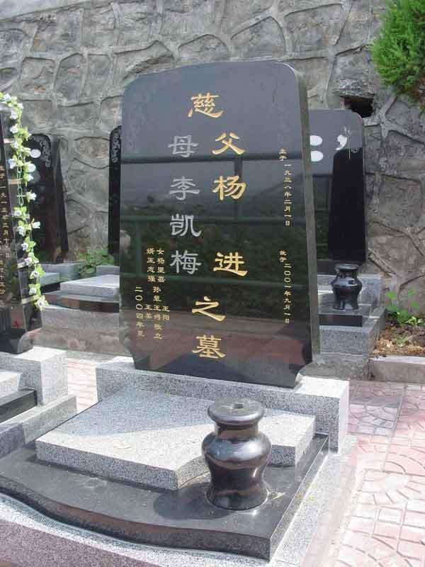 杨进照片