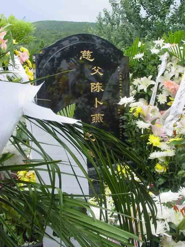 陈卜燕照片