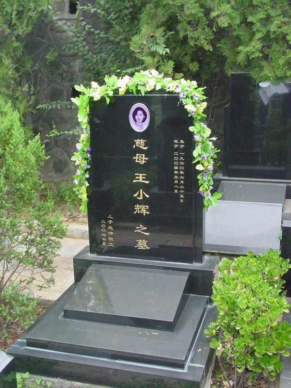 王晓辉照片