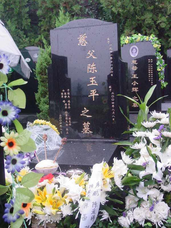 陈玉平照片