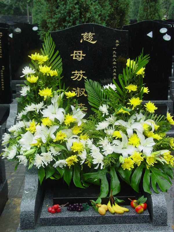 苏淑英照片
