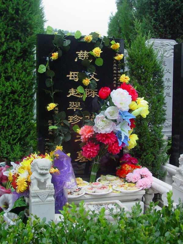 陈华照片