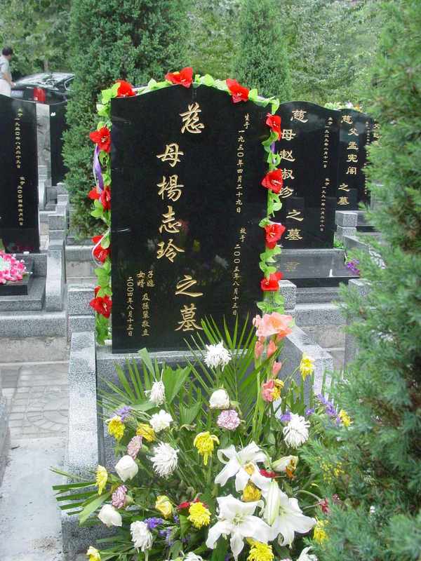 杨志玲照片
