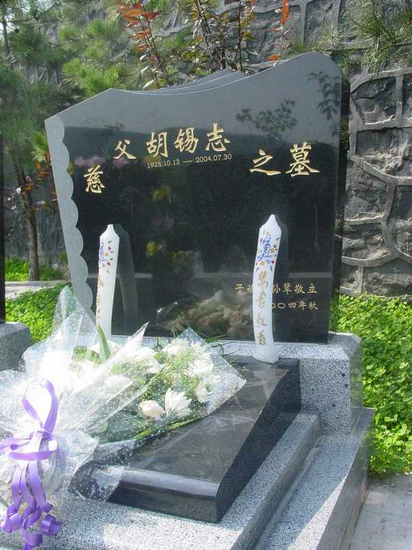 胡锡志照片